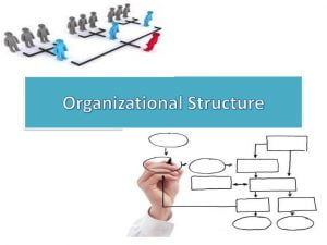 ساختار سازمانی چیست